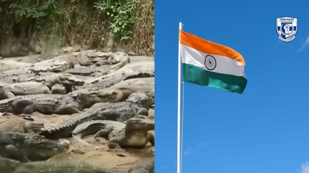 Weaponizing Nature: Human Rights Concerns Over Reports